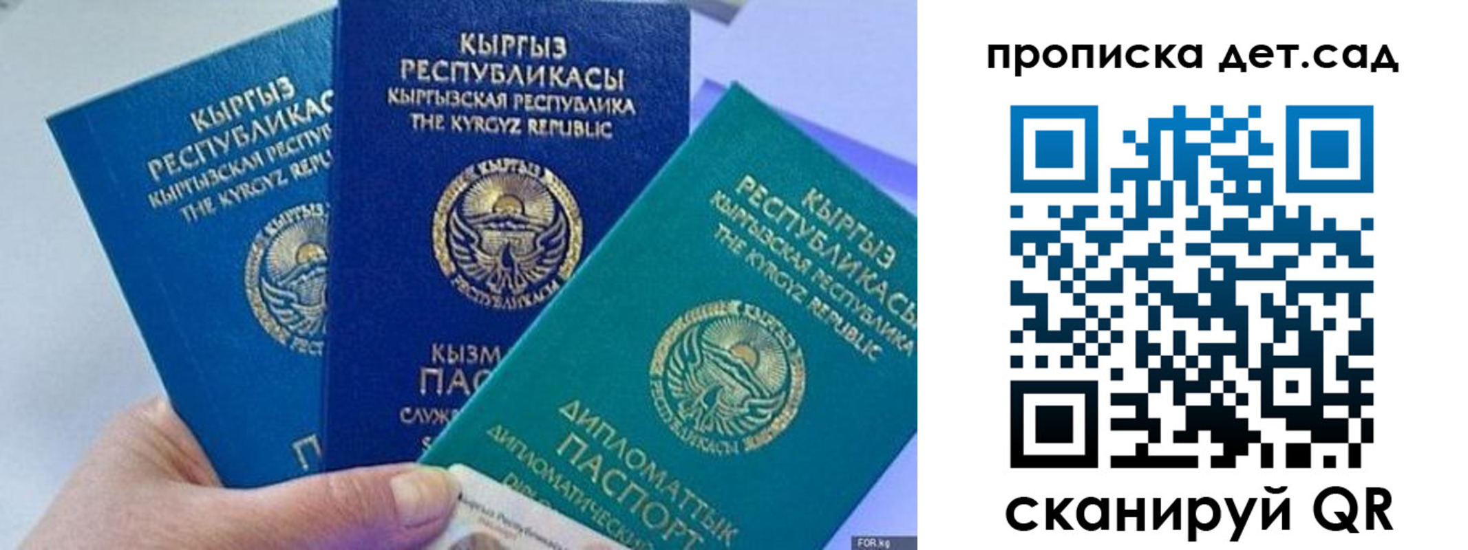 где прописаться в Владимирской области